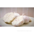 /msite/products/detail/productid/57631212/id/677584.html